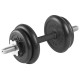 Гантель разборная 10 кг TITAN Barbell - d31